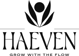 HAEVEN logo