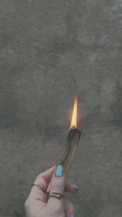 PALO SANTO