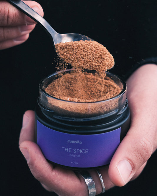 THE SPICE – original (Gewürzmischung)